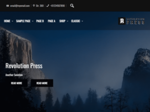 Revolution Press
