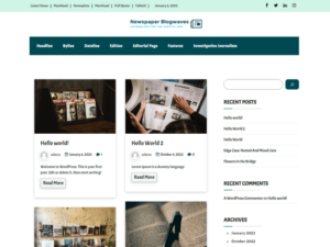 Newspaper Blogwaves