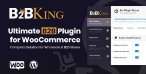 B2BKing – The Ultimate WooCommerce B2B & Wholesale Plugin WordPress plugin