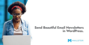 Mailster – Email Newsletter Plugin for WordPress WordPress plugin